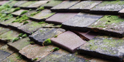 Norbury Junction roof repair costs